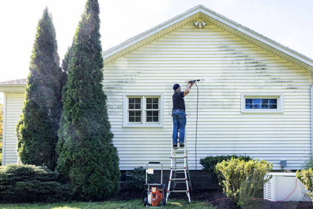 Best Driveway Pressure Washing  in Hodgkins, IL